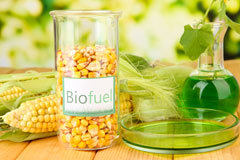 Snettisham biofuel availability